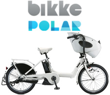 bri_bikkepolar2020