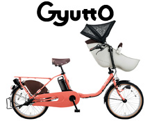 pana_gyutto_cruumEX2020