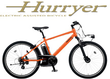 pana_hurryer2020