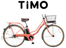 pana_timo_l2020