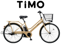 pana_timo_s2020