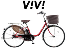 pana_viviDX_l2020